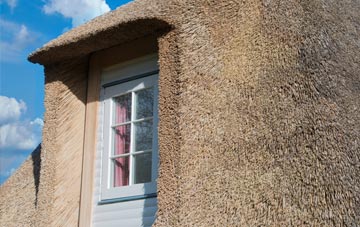 Hedley Hill thatch roof disadvantages
